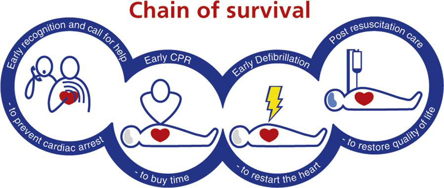 Chain of survivial_ERC2010 - Copy